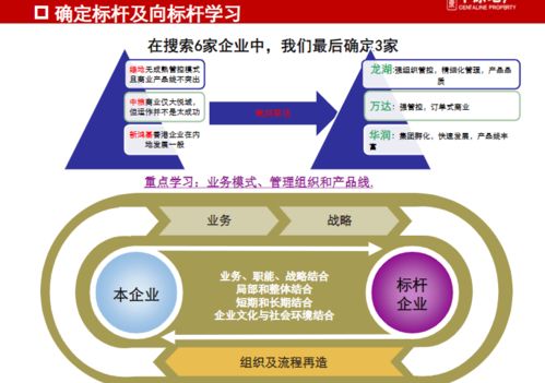 龍湖、萬達、華潤商業(yè)地產(chǎn)管控與產(chǎn)品線專題研究